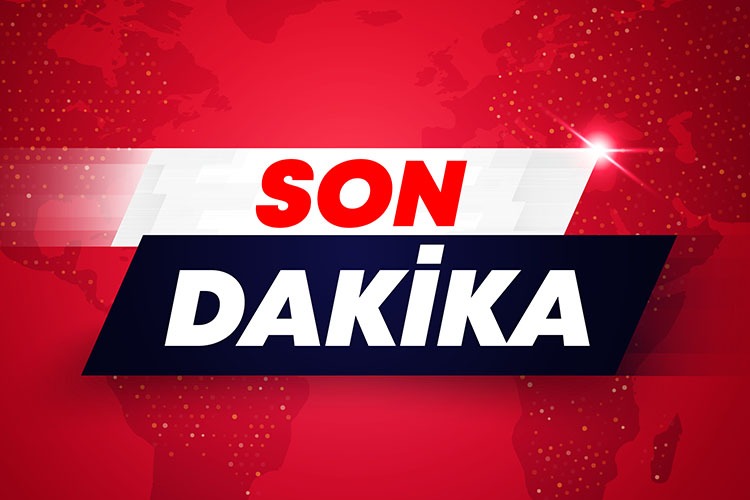 AB, Gemlik zeytininin uluslararası marka değerini artıracak