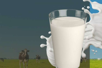 Günde en az 2 su bardağı süt dişleri güçlendiriyor