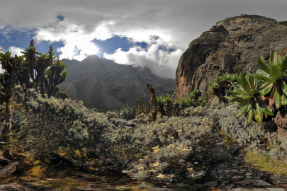 Doğa Harikası: Rwenzori Dağları Milli Parkı