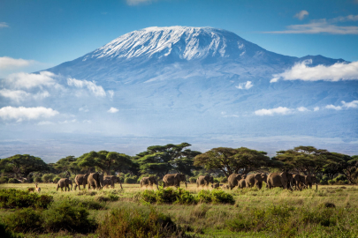 Kilimanjaro Dağı Millî Parkı: Afrika'nın Zirvesine Yolculuk