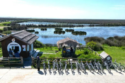 Promotion activities of Samsun have started to bear fruit