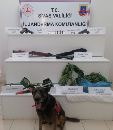 Ev değil adeta cephanelik