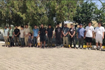Edirne'de ki ayrı operasyonda 30 düzensiz göçmen yakalandı
