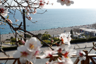 Antalya’da Şubatta Bahar Sürprizi