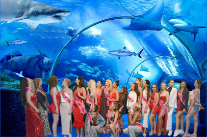 Güzellik ve Deniz Buluşması: Mrs.Eurasia Yarışmacıları Akvaryumda
