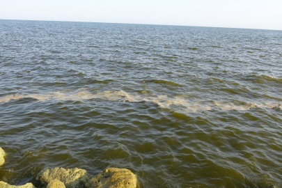 Mersin Sahillerinde Kirlilik Turizm Sezonunda Endişe Yaratıyor