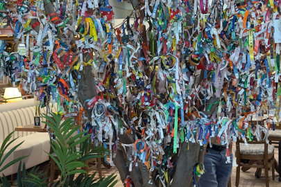 Antalya Havalimanı’ndaki Dilek Ağacı Turistlerin Renkli Hatırası Oldu