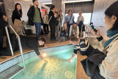 Bursa, Termal Ve Medikal Sağlıkta Turistlerin Yeni Gözdesi Oldu