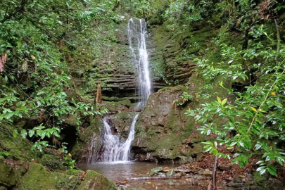 Kastamonu'dan UNESCO'ya Jeopark Başvurusu