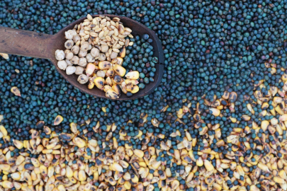 Kavut unu asırlık geleneğiyle kültürel miras olmaya devam ediyor