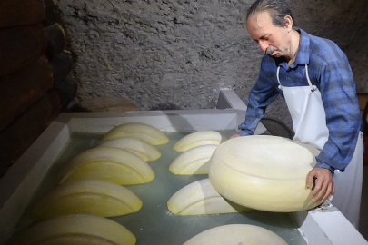 Kars Peynir Müzesi turistlerin yeni gözdesi haline geldi