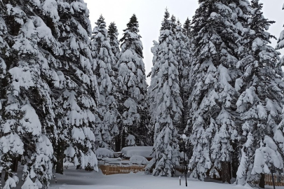 Uludağ’da mayısta kar sürprizi