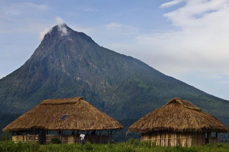 Afrika'nın İncisi: Virunga Millî Parkı