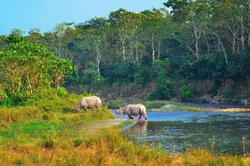 Chitwan Millî Parkı: Nepal'in Doğal Zenginliği