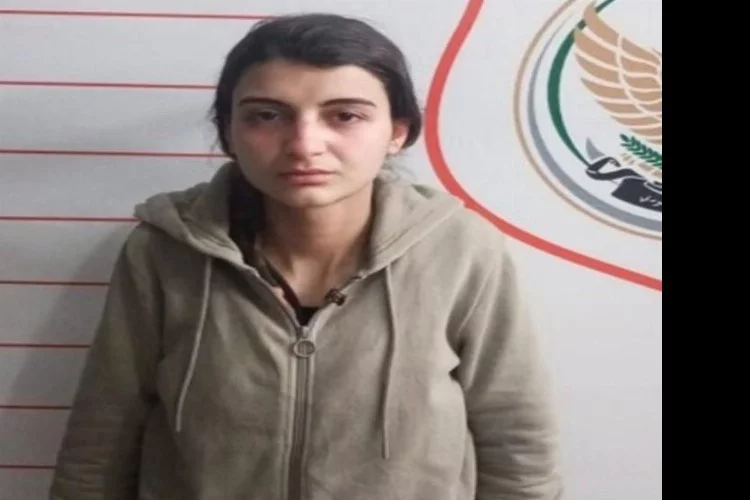 Suriye’den Türkiye’ye sızmaya çalışan PKK’lı kadın terörist MİT istihbaratı sonucu yakalandı