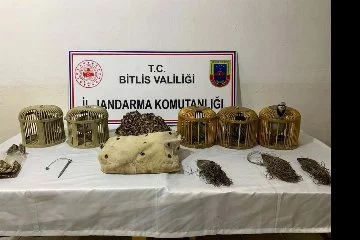 Bitlis’te keklik avlayan 2 kişiye 63 bin lira para cezası uygulandı