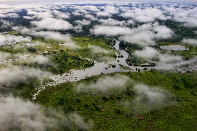 Garamba Ulusal Parkı: Afrika'nın Kalbindeki Vahşi Cennet