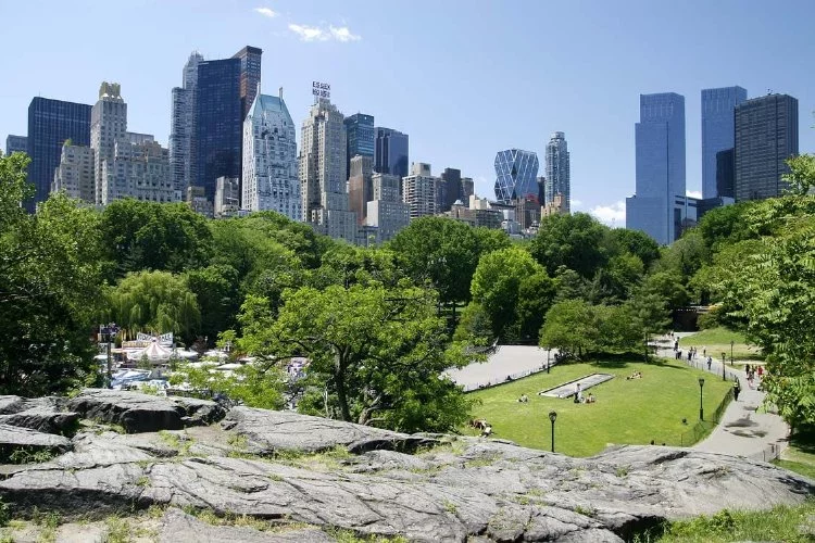New York Central Park: Doğanın Büyüsü