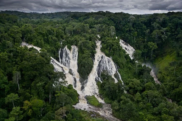 Ormanların Kalbindeki Cennet: Ivindo Ulusal Parkı